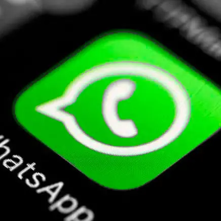 detectives whatsapp